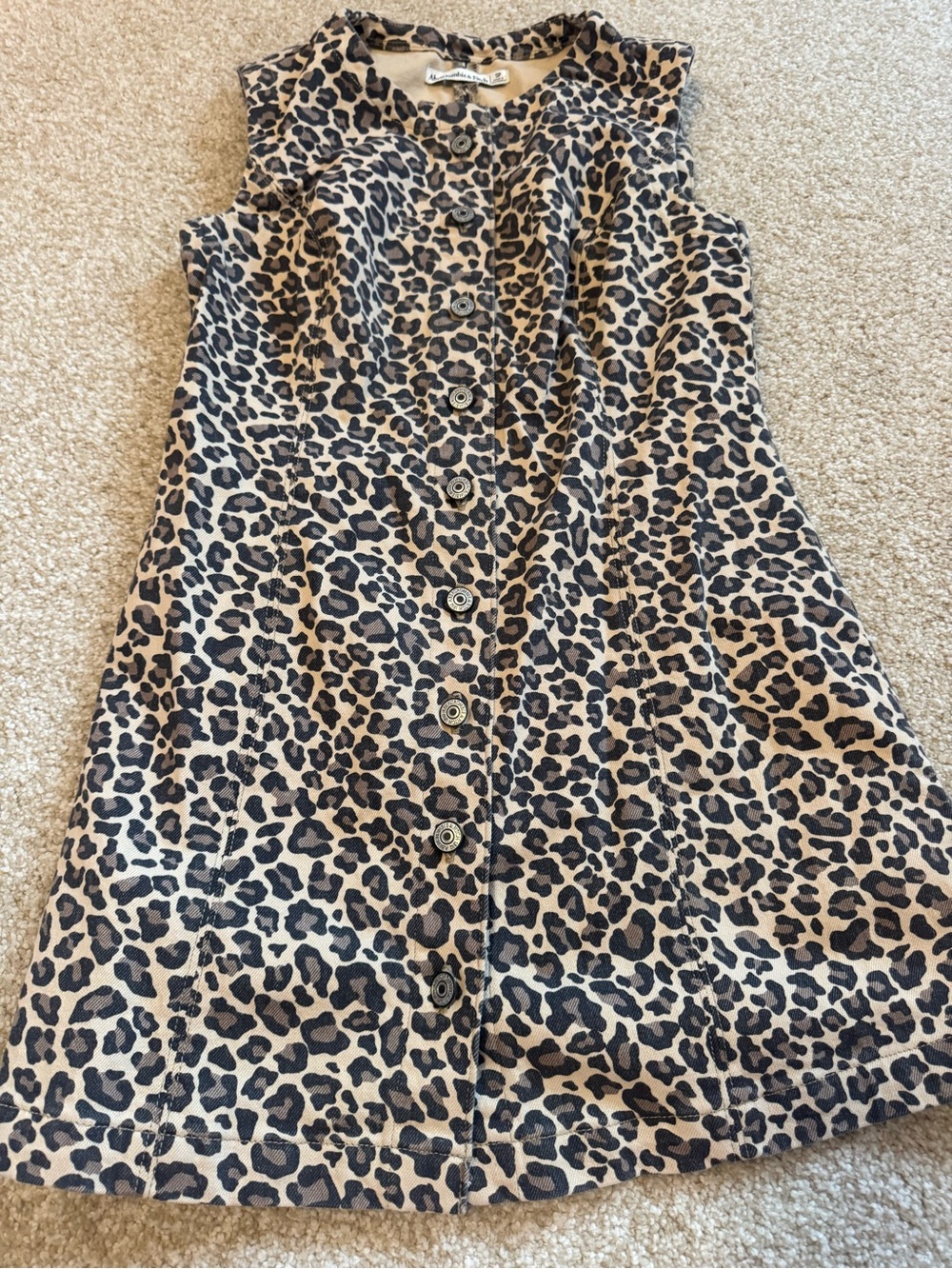 Abercrombie Cheetah Denim Dress